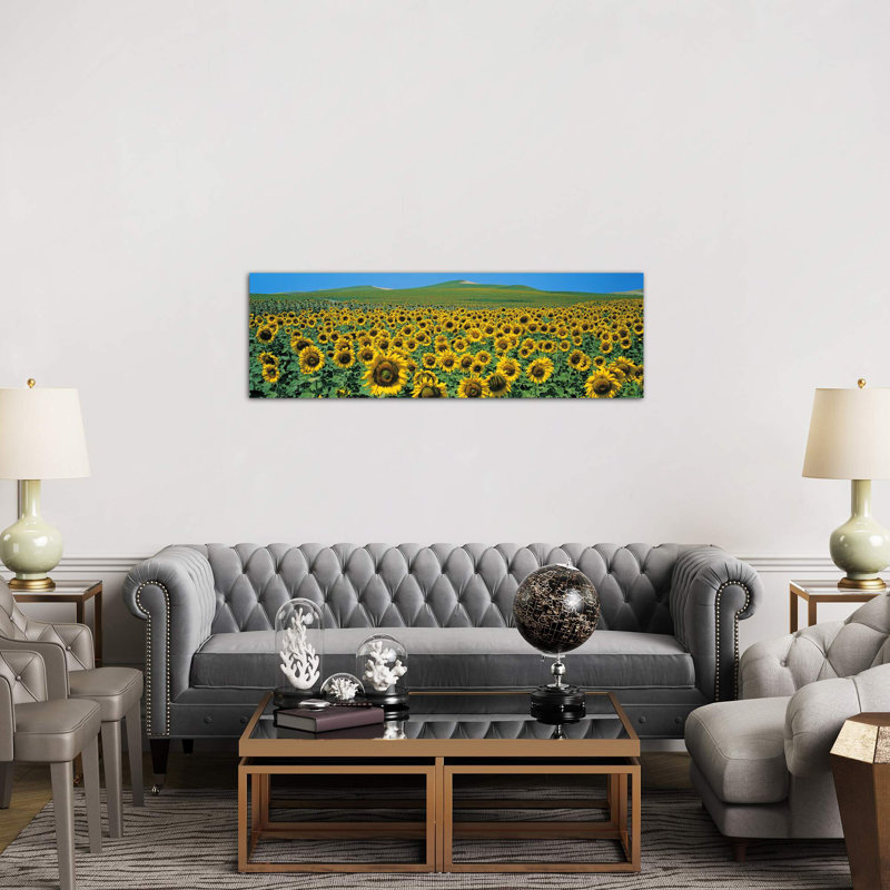 Sunflower Field Andalucia Spain - Wrapped Canvas Panoramic Print, 152.4 cm H x 50.8 cm W x 1.91 cm D