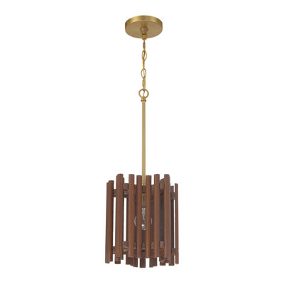 Backstrom 1 - Light Single Pendant