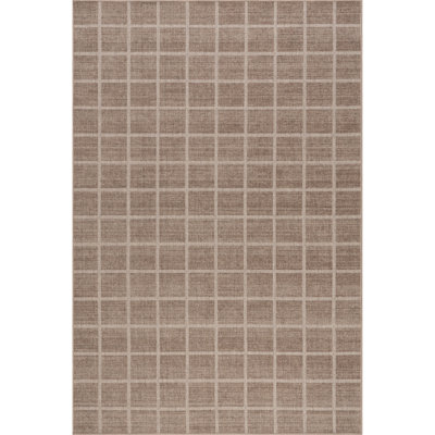 Daena Checkered Machine Washable Area Rug