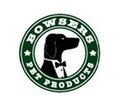 Bowsers Logo