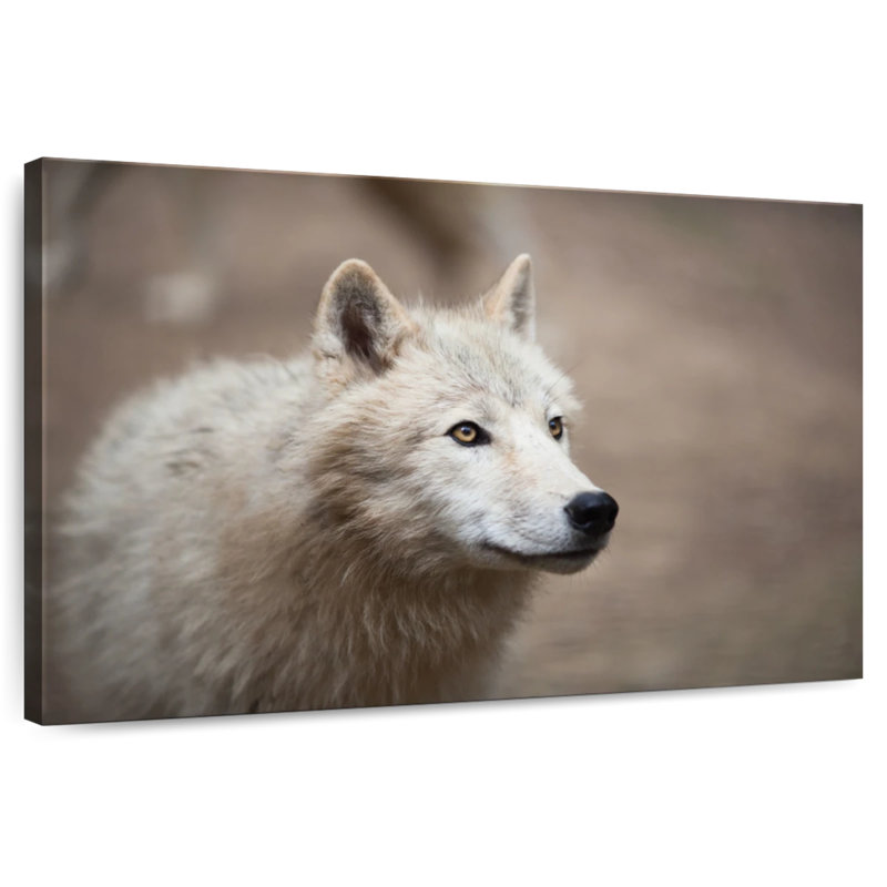 Arctic White Wolf, 30" H x 45" W