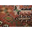 Traditional Runner Rug 3x7