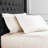 Benin Embroidered 1000 Thread Count 55% Cotton / 45% Polyester Sheet Set-28762347-28762341
