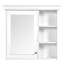 Bathroom Medicine Cabinet with Mirror