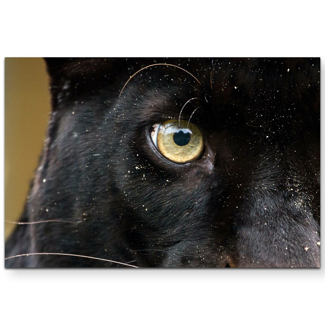 Leinwandbild Panther Auge – Nahaufnahme