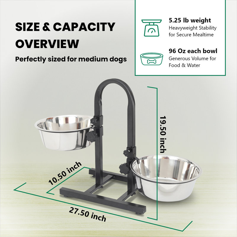 Dinahlee Anti-Skid Elevated Feeder, 96 oz./ 12 cups
