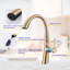 Robinet de cuisine rétractable CERYPSA-89157925