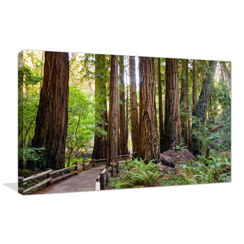 «Boardwalk In The Forest», reproduction de photo sur toile tendue, H 24 po x l 40 po x P 1,5 po