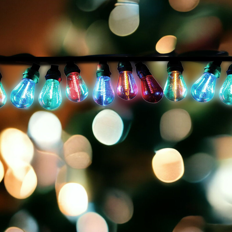 Helmfried 11.42 " LED Rope Lights