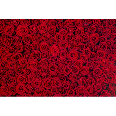 Red Roses Arrangement by Wsfurlan - No Frame Art Prints on Canvas