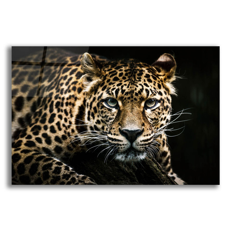 Leopard On The Hunt par Epic Portfolio, H 12 po x l 16 po x P 0,13 po