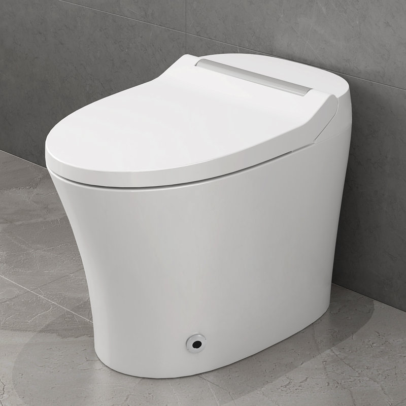Smart Toilet