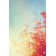 Colorful Foliage In The Autumn Park by Igor_Aleks - Wrapped Canvas Print