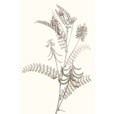 «Neutral Botanical Study VII», peinture sur toile