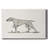 Neutral Pointer II-Gallery Wrapped Canvas-1365965418