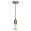 Luminaire suspendu 1 lumières Parthenia