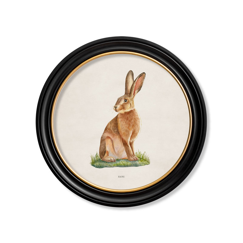 Hare by Mid-1800s - Single Picture Frame Print on Archival Matt 230gsm Paper