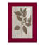 Arbor Speciment II, reproduction d'art encadrée-2071719355-2071719354