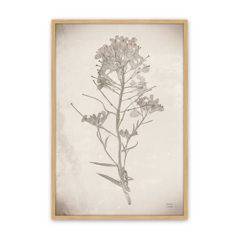 «Wildflower Journal Vintage I» par Nathan Larson, reproduction d'art, H 12 po x l 8 po, Brun clair