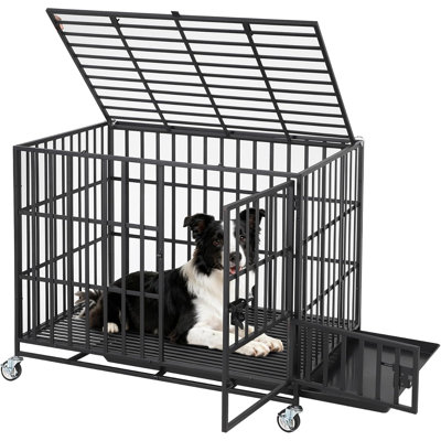 Cage pour chien robuste 36 po, chenil d'intérieur en métal à l'épreuve des fuites avec 3 portes, plateau amovible et roues pour chiens de taille moyenne / grande