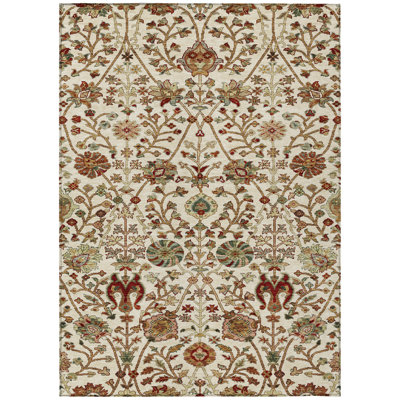 Chayil Area Rug with Non-Slip Backing
