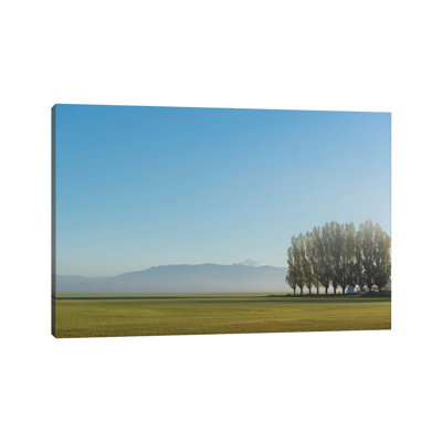 "Gazing" par Nancy Crowell - reproduction de photo sur toile tendue