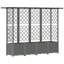 Raised Garden Bed-19161872-19161876