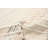 Mulvey Wool Moroccan Indoor Rug
