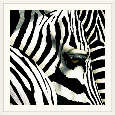 «Do Zebras Dream» par Will Bullas, reproduction de photo