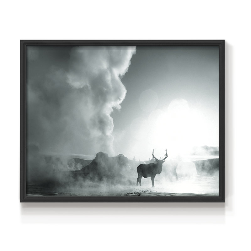 Majestic Moment - reproduction encadrée - réarmable, Noir, noir, noir, noir, H 16 po x l 20 po