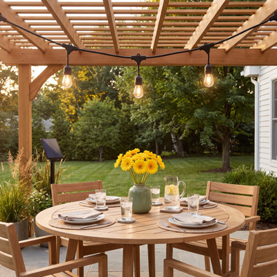 Ambience Pro Solar Outdoor LED String Lights
