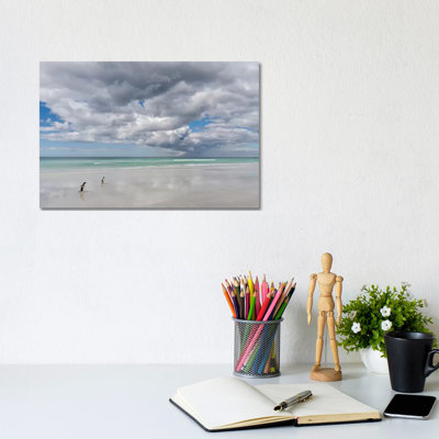 Gentoo Penguin On The Sandy Beach Of Volunteer Point, Falkland Islands by Martin Zwick - Wrapped Canvas Gallery-Wrapped Canvas Giclée