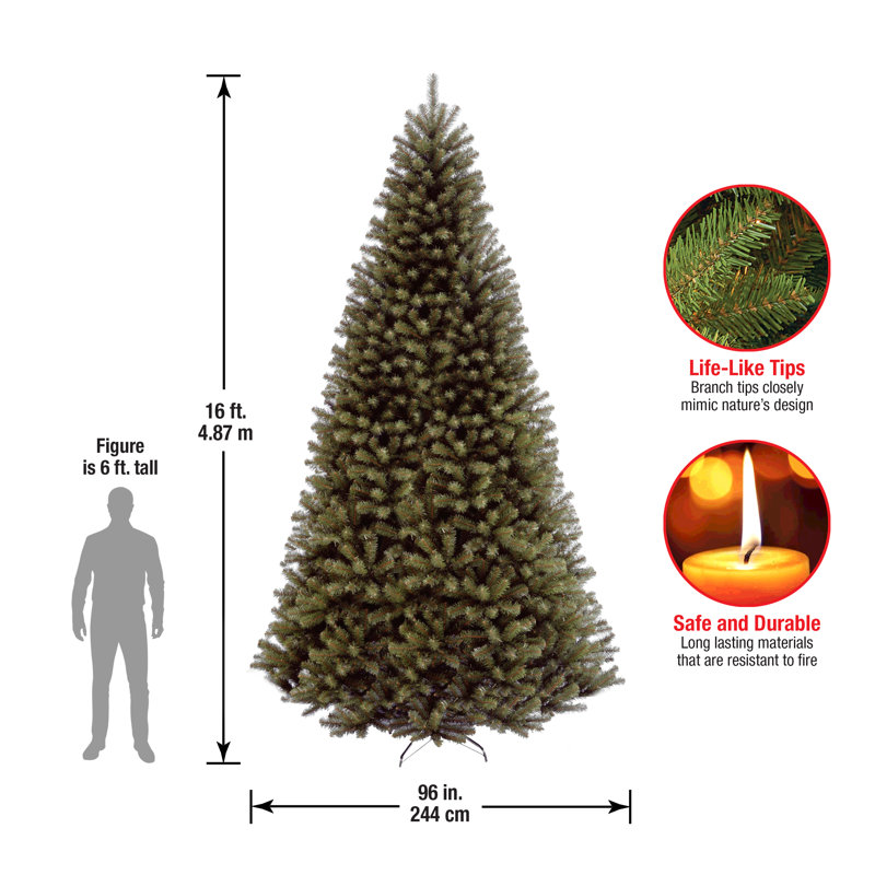 14 Ft. North Valley Spruce Tree, 16' H