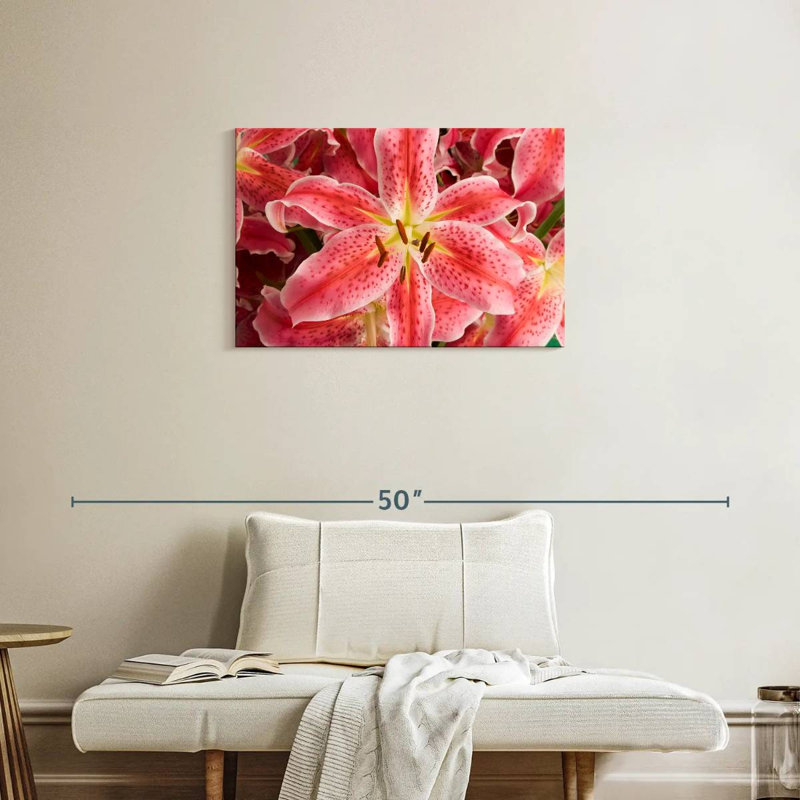 Fleurs de lys Harnek Stargazer, H 20 po x l 30 po