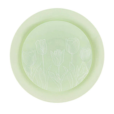 Disposable All Occasions Dinner Plate