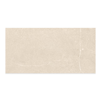 Newstone Matte 12x24 Porcelain Floor & Wall Tile (13.56 Sq. Ft./Case)