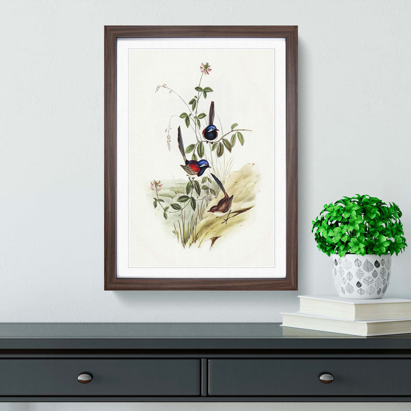 Beautiful Wrens by Elizabeth Gould - Single Picture Frame Painting, Walnut Framed, 63cm H x 45cm W x 2cm D