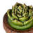 Landscape & Nature Figurines & Sculptures-338451219