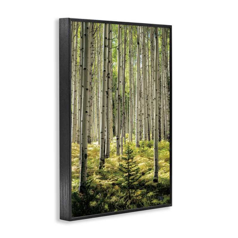 Petite et haute giclée encadrée de forêt de bouleaux, design par D. Burt, H 18 po x l 12 po, Giclée encadrée noir minuit