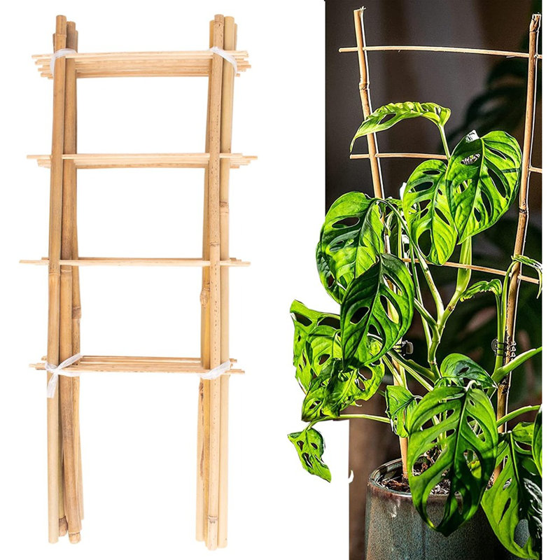 Paquet de 10 treillis en bambou naturel pour plantes grimpantes ...