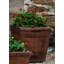 Vendange Planter-361715997