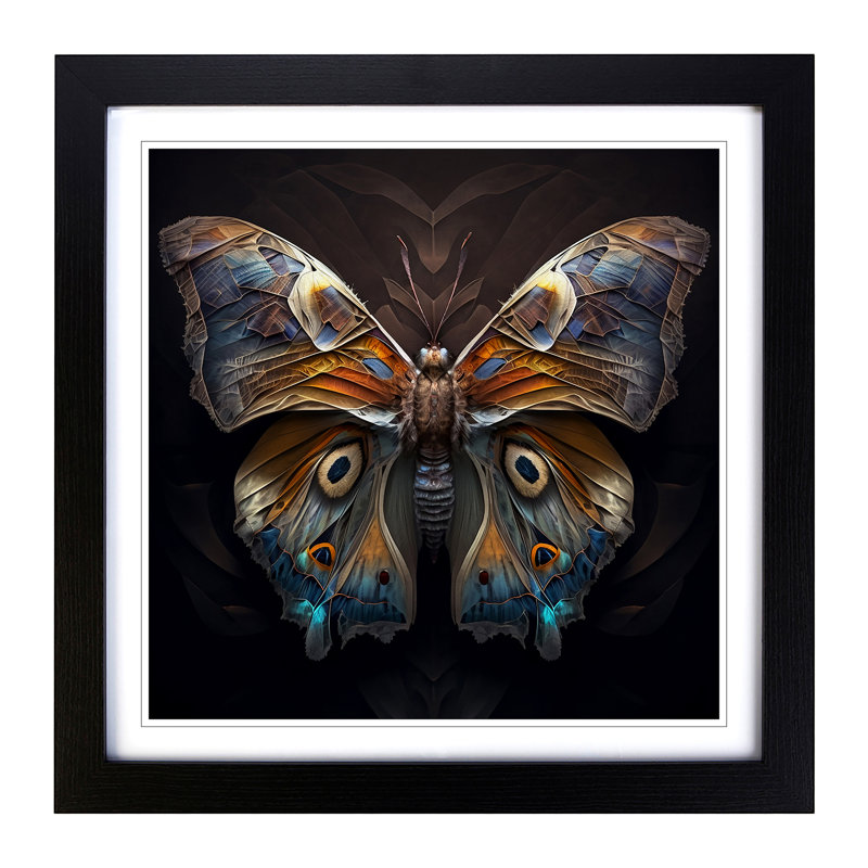 Moth - Framed Print, Black