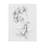 « botanique sketch v », reproduction d’art sur toile tendue-33424196