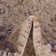 Tapis gris Canora Regalia Deepa