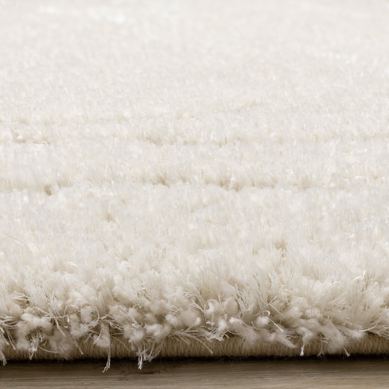 Tapis de salon Sieanna, Rectangle 5 pi 3 po x 7 pi 7 po