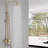 10 Inch Round Wall Mounted Rainfall Shower System with Handheld Sprayer, Brushed Gold-126019297