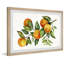 Five Lemons - Single Picture Frame Print-1063878982