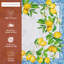Ensemble de 4 napperons 100% coton lavable Maison d 'Hermine
