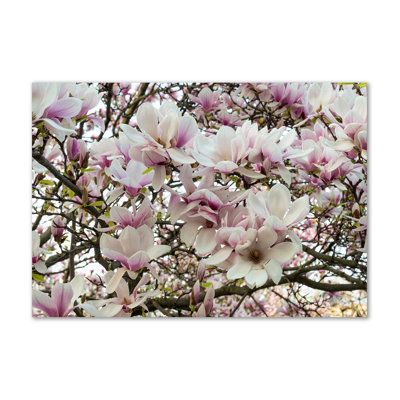 Magnolia Flowers - Wrapped Canvas Print