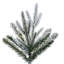 Vickerman 12' x 44" Frosted Tacoma Fraser 3662Tips-563919364